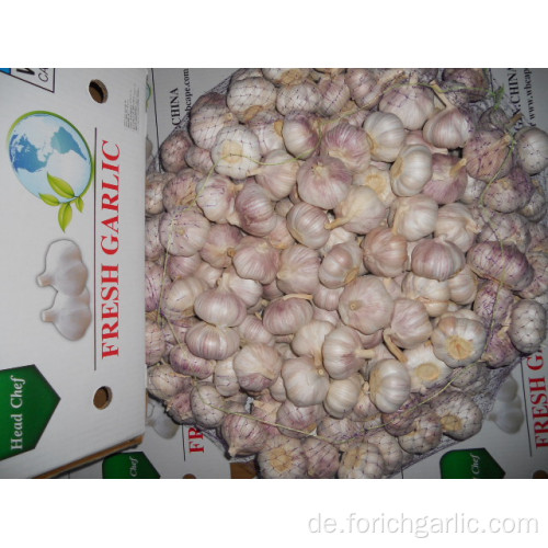 Fresh New Crop normaler weißer Knoblauch 5.0cm